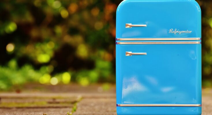 Stromsparen beim Kühlschrank