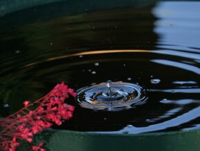 Regenwasser sammeln