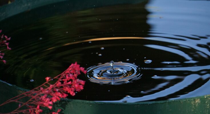 Regenwasser sammeln